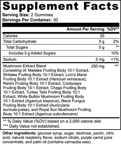 Brain Boost Mushroom Complex Gummies